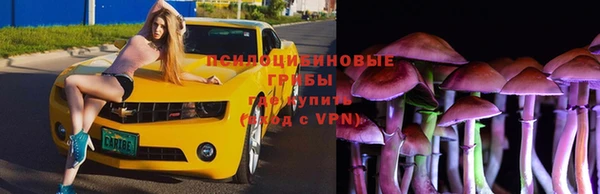 ГАЛЛЮЦИНОГЕННЫЕ ГРИБЫ Гусев