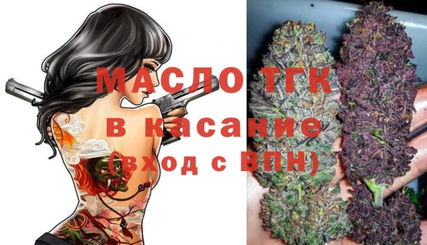 ГАЛЛЮЦИНОГЕННЫЕ ГРИБЫ Гусев