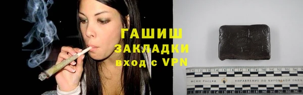 ГАЛЛЮЦИНОГЕННЫЕ ГРИБЫ Гусев