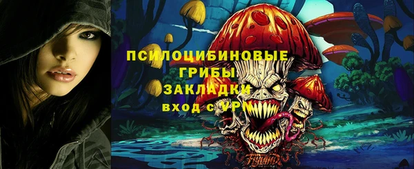 ГАЛЛЮЦИНОГЕННЫЕ ГРИБЫ Гусев