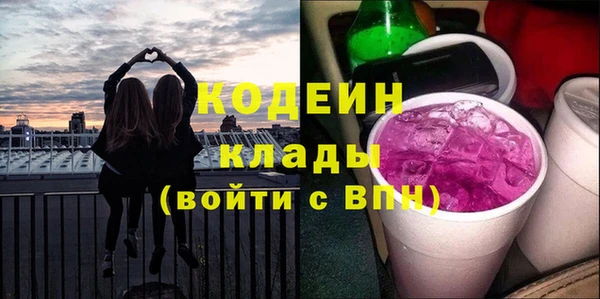 ГАЛЛЮЦИНОГЕННЫЕ ГРИБЫ Гусев