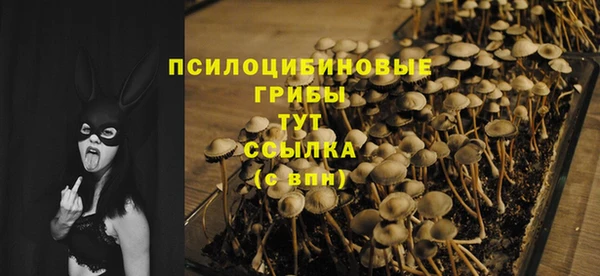 дмт Гусиноозёрск
