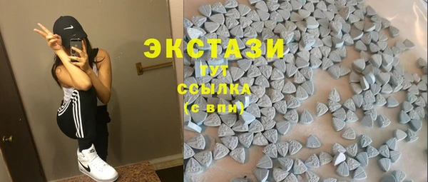 ГАЛЛЮЦИНОГЕННЫЕ ГРИБЫ Гусев