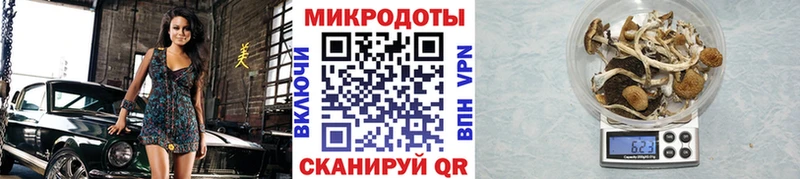 Галлюциногенные грибы Psilocybine cubensis Купить Зеленогорск